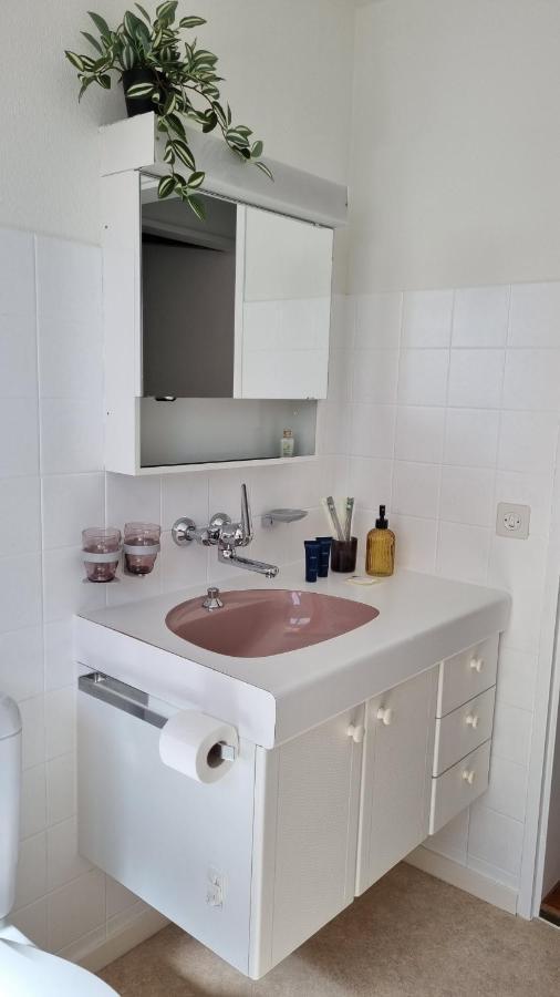 Apartment Heidi Spiez Dış mekan fotoğraf